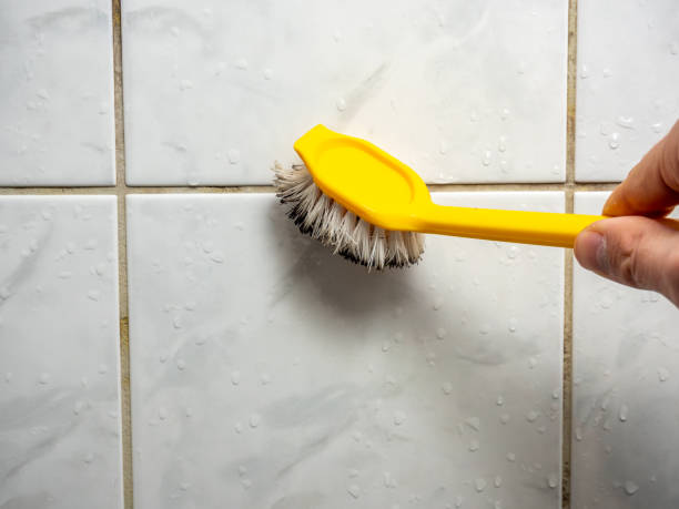 Best Office Mold Removal Services  in Broad Creek, NC