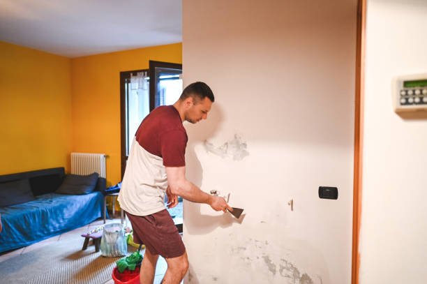Best Mold Damage Repair  in Broad Creek, NC