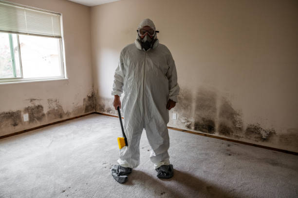 Best Commercial Mold Removal  in Broad Creek, NC